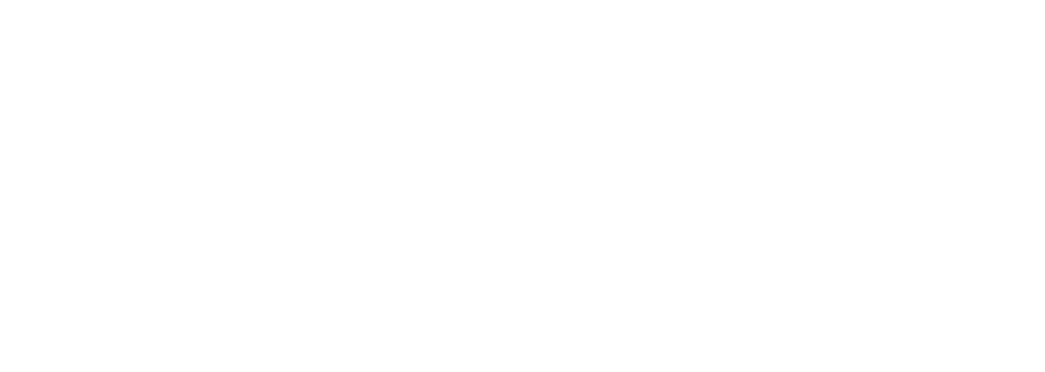 White Logo No Background