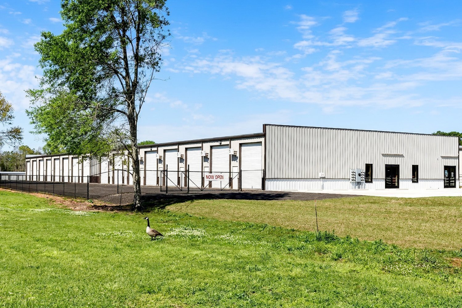 Daphne Toy Box Storage12