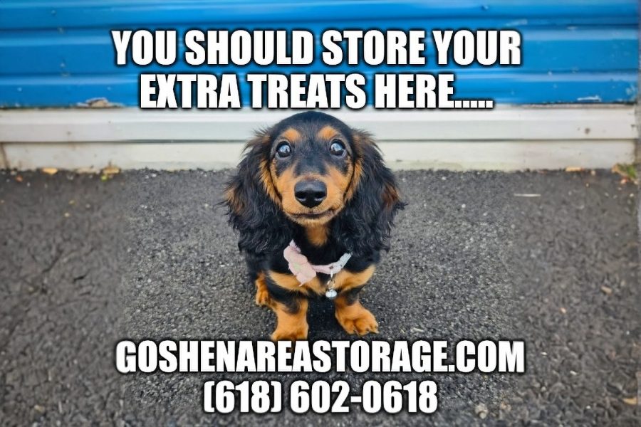 Goshen1