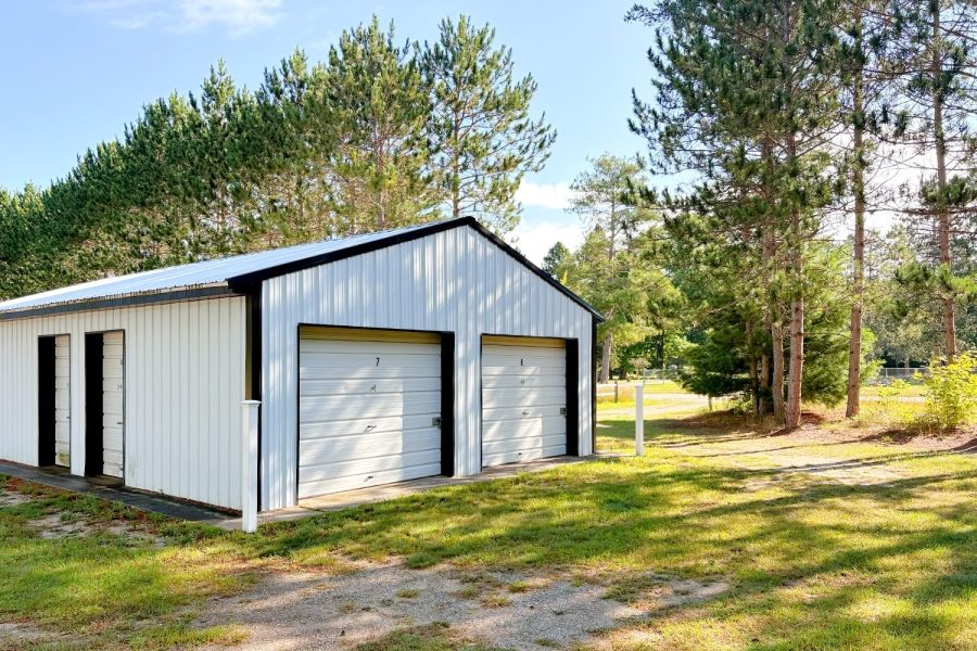 White Pine S29 1