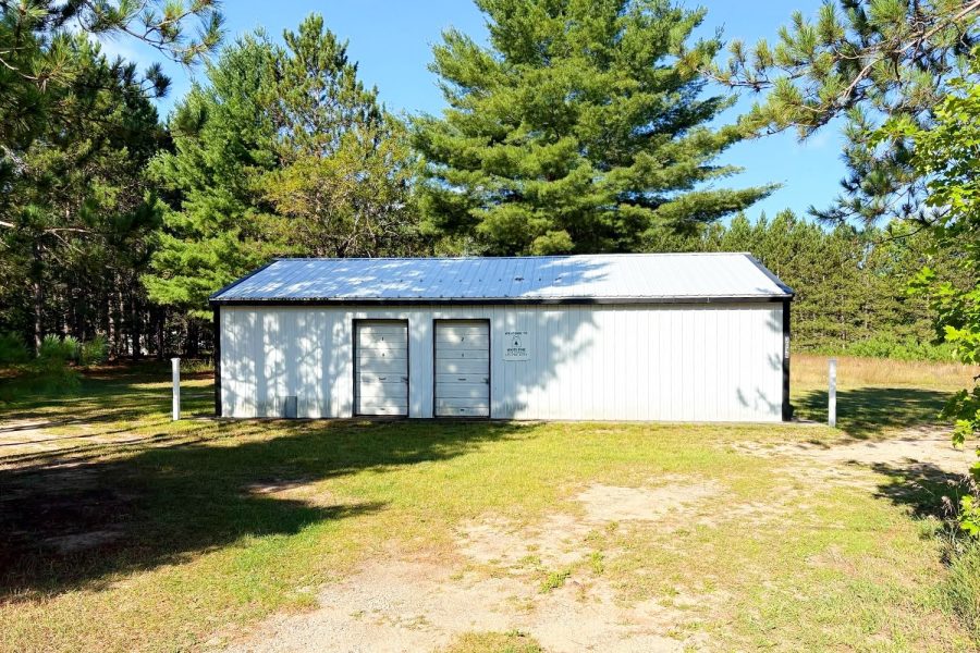 White Pine S29